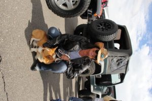 Corgi, their owner, and their Jeep