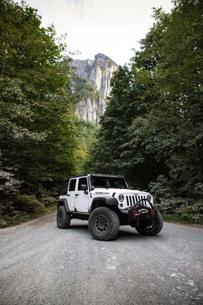 White Jeep in a forest
